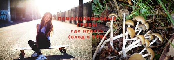 а пвп мука Краснослободск