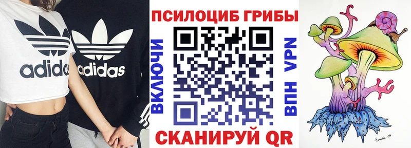 где продают наркотики  Череповец  Галлюциногенные грибы GOLDEN TEACHER 