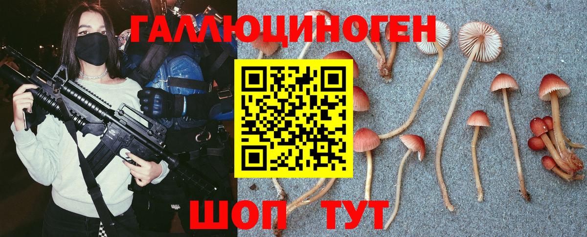 Псилоцибиновые грибы GOLDEN TEACHER  Вход с VPN  Череповец 