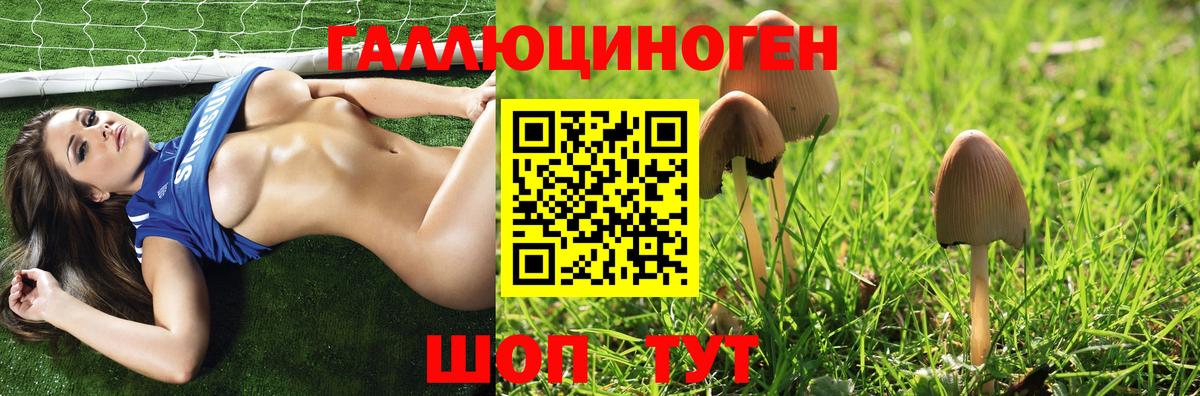 Галлюциногенные грибы Psilocybe Череповец